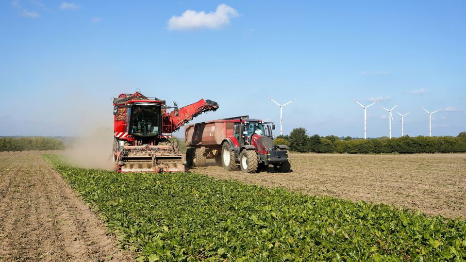 wolfgang-weiser-GwYs8EzlfS8-unsplash