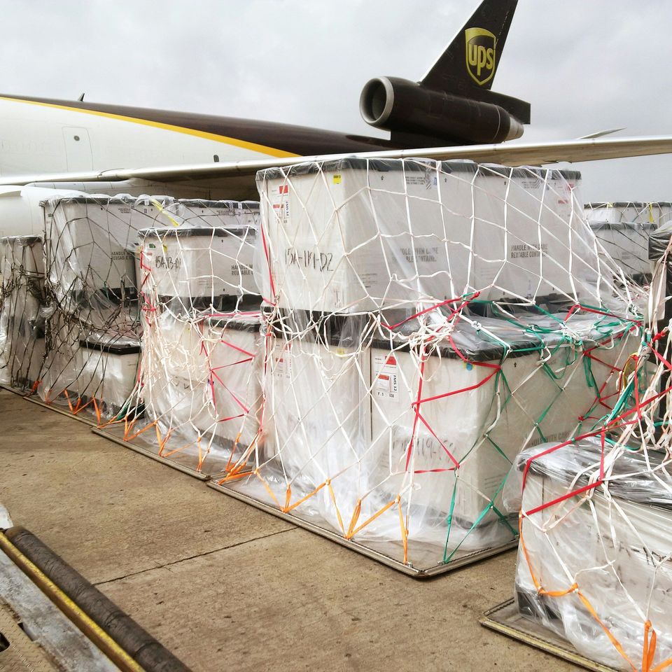 cdc-ZhrdTmBQafQ-unsplash