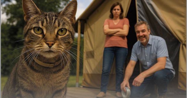 Edwin Timmers Klussen op de camping Column MIXonline