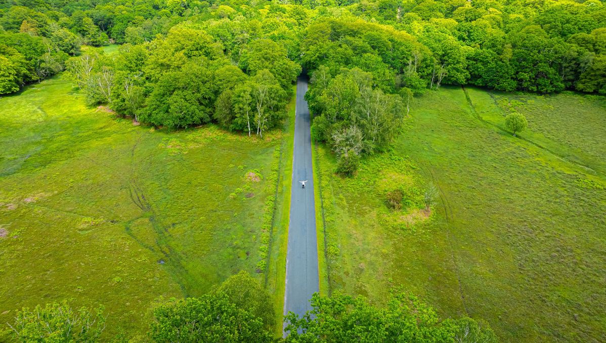 Als AI waardeketens transparant maakt, mag Europa dan meer eisen stellen?