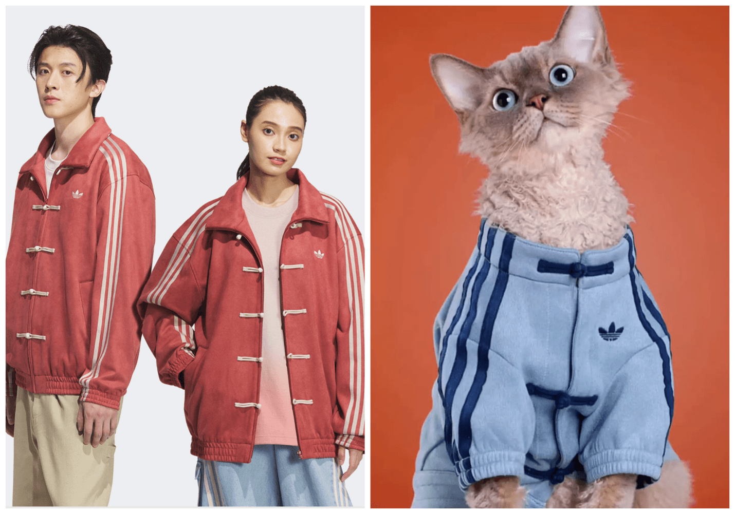 Adidas_huisdieren
