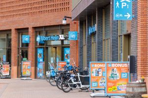 Albert Heijn verstevigt positie als marktleider, Aldi wint terrein