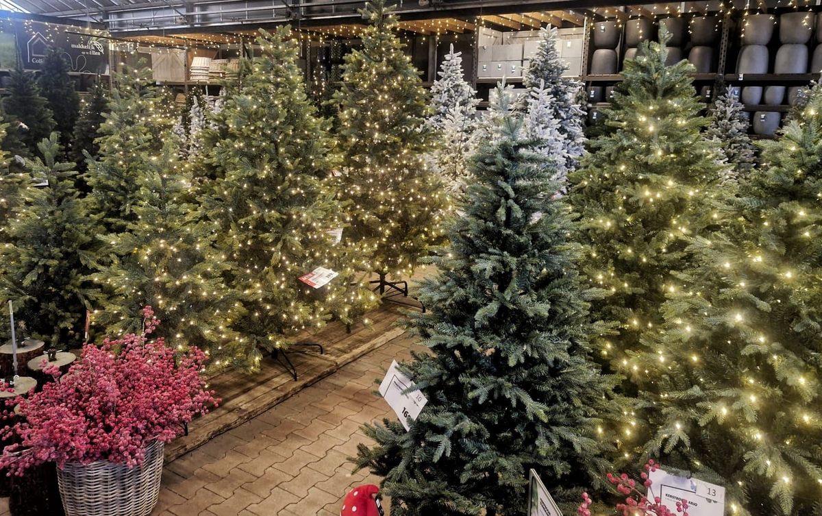Kerst als omzetgenerator: zo pakt Intratuin uit (en het aan)