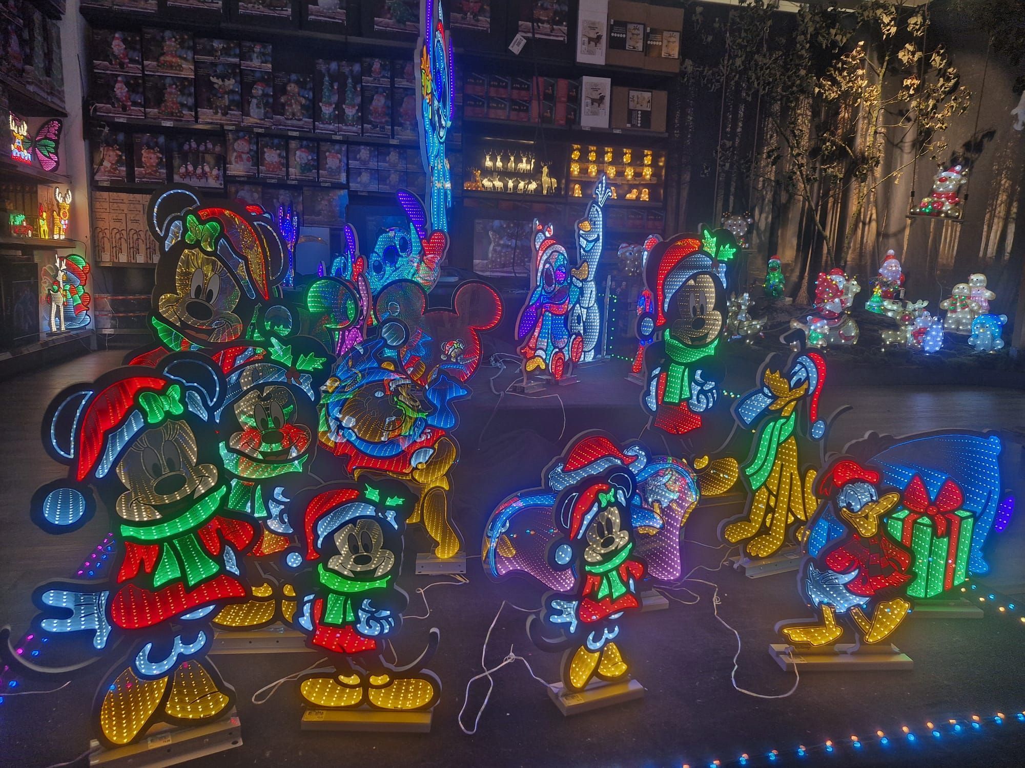 Intratuin Hilversum verlichting