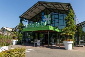 Intratuin-topman over keuzes op weg naar chemievrij groen: 'Soms verdwijnen productgroepen'