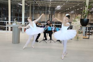 Hoe Søstrene Grene ballet, de 'sister spirit' en efficiënte retail samenbrengt