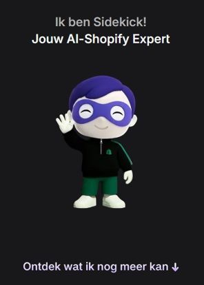 Shopify Sidekick