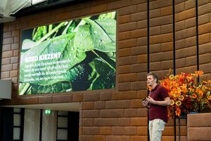 Hoe HEMA, Ekoplaza, Dille & Kamille en Action de duurzaamheidspuzzel leggen