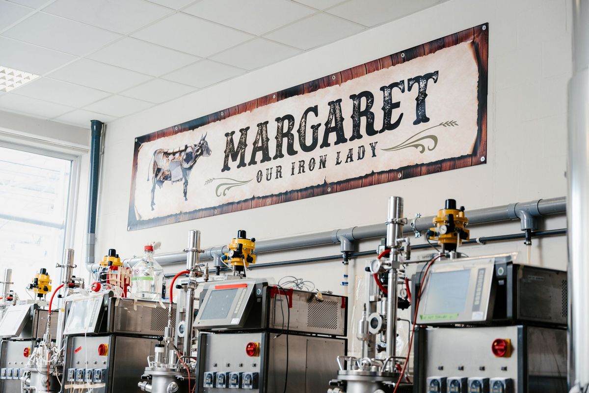 Those Vegan Cowboys haalt 4 miljoen euro op voor kaas zonder koe