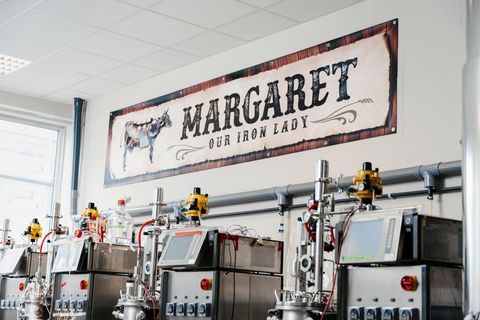 Those Vegan Cowboys haalt 4 miljoen euro op voor kaas zonder koe