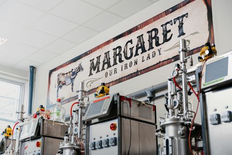 Those Vegan Cowboys haalt ruim 6 miljoen op