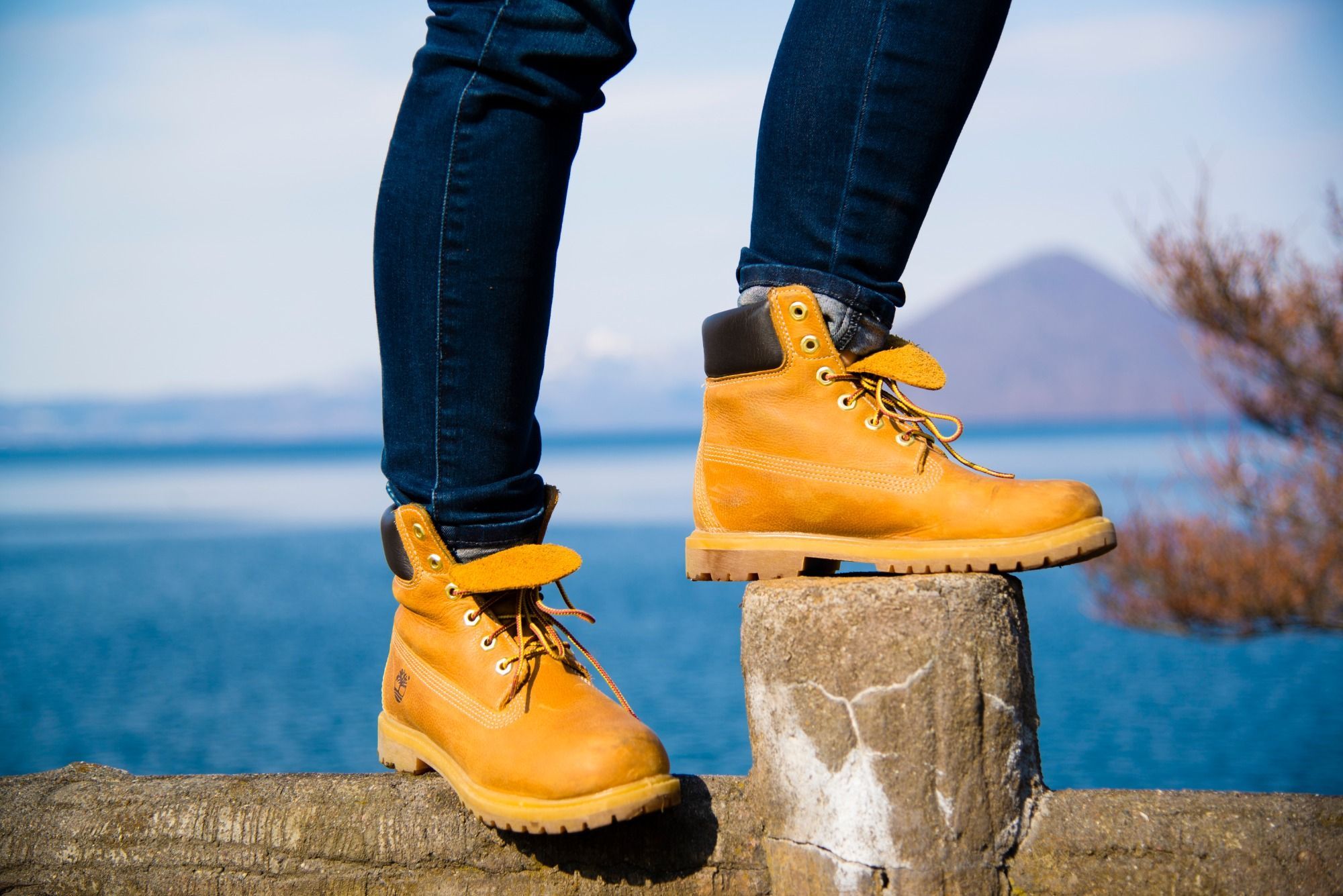 Timberland_shutterstock