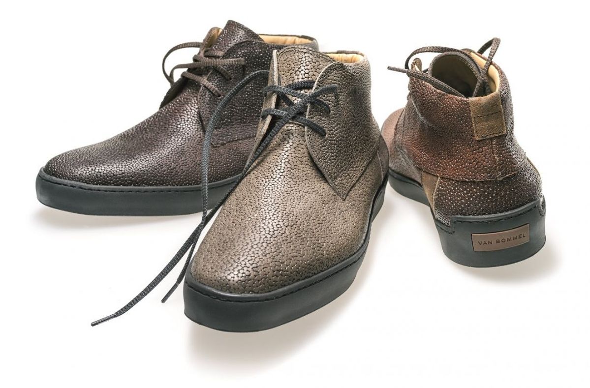 Retailcijfers: Floris van Bommel