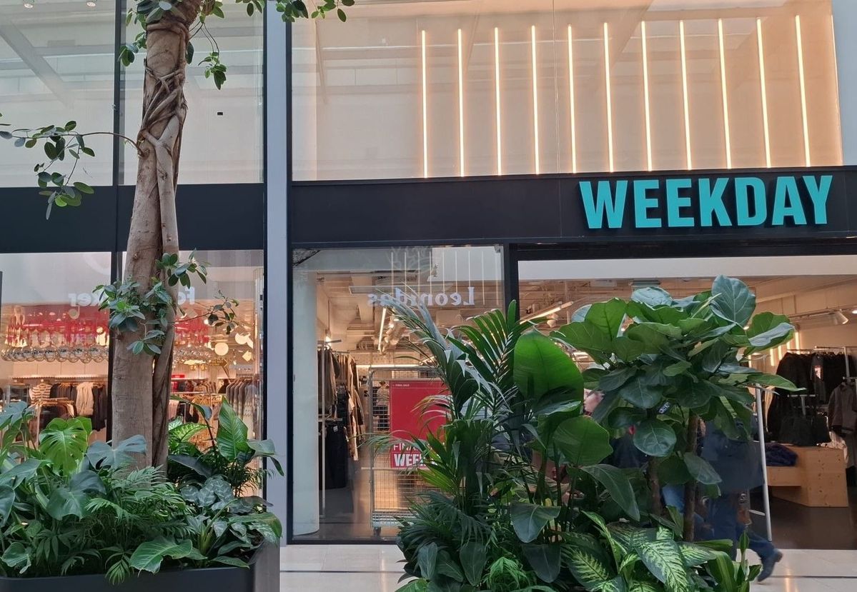 Laatste Nederlandse Monki uit straatbeeld verdwenen