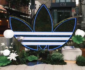 Adidas op z'n Koreaans