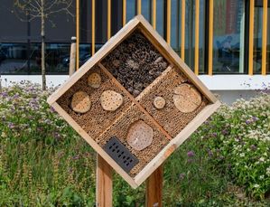 Sustainable Retail: Intergamma zet zich in voor de bloemetjes en de bijtjes