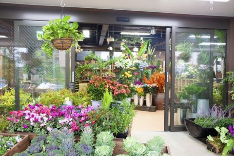 Aantal bloemenwinkels daalt flink