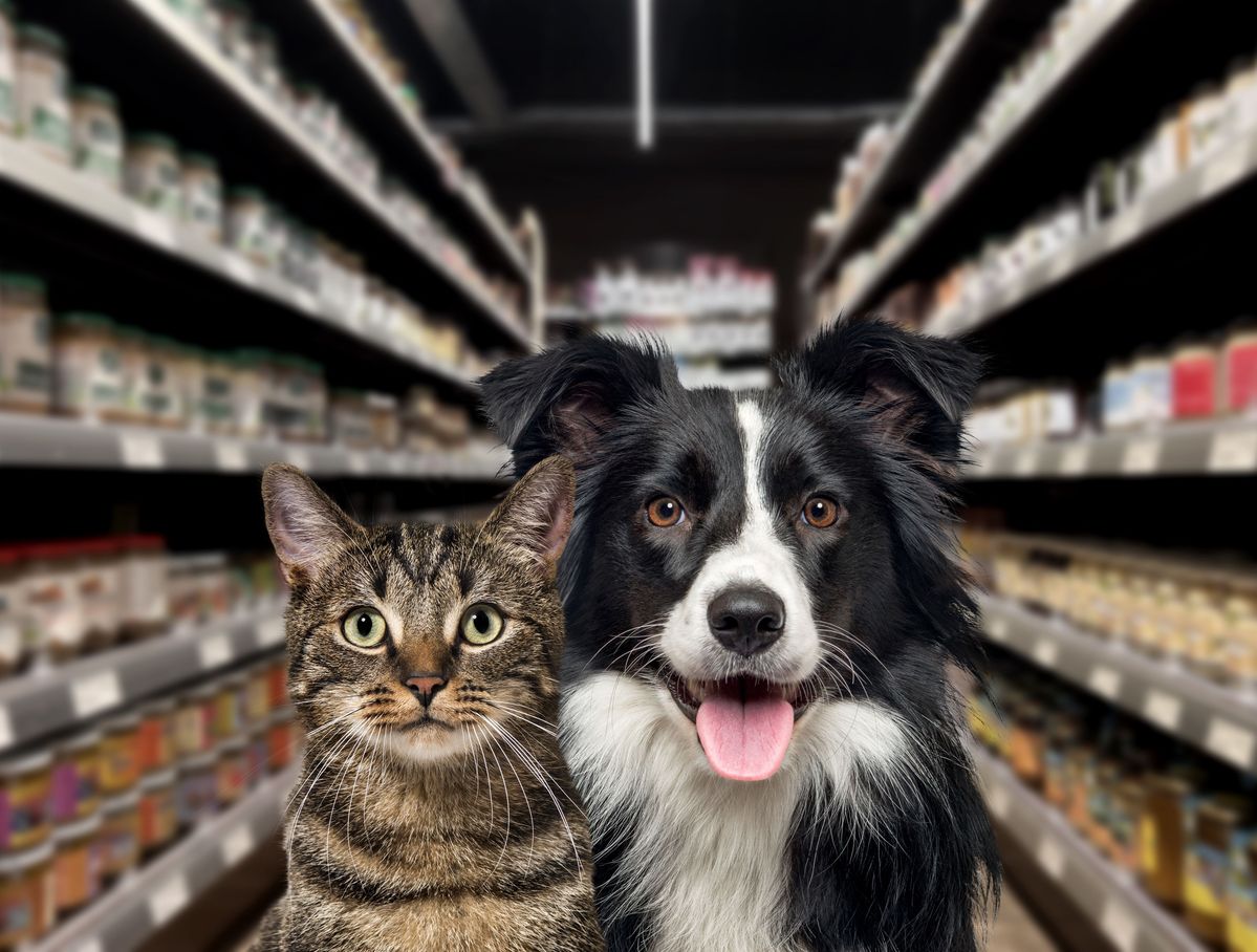 Dierendag als kans voor retailers: 'Er valt veel meer uit te halen'