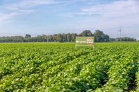 'Meeste grote A-merken hebben geen biologisch product in schap liggen'