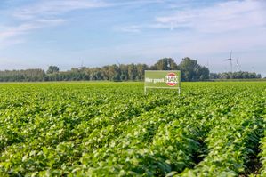 'Meeste grote A-merken hebben geen biologisch product in schap liggen'
