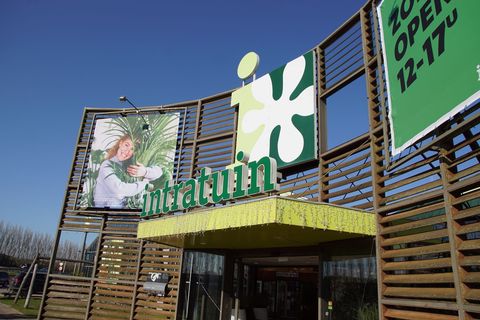 Retailcijfers: Intratuin