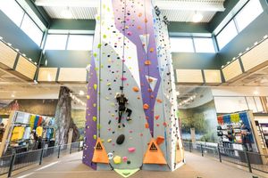 De klim naar succes van Dick's Sporting Goods: 'We tolereren hier geen briljante eikels'